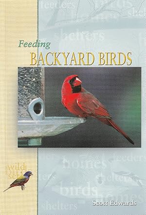 Feeding Backyard Birds