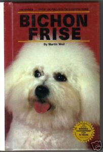 Bichon Frise