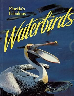 Florida's Fabulous Waterbirds