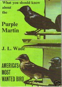 What You Should Know about the Purple Martin : America's Most Wanted Bird