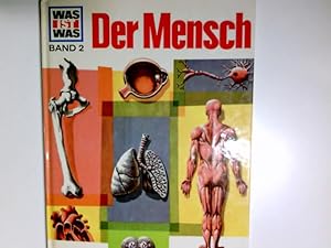 Seller image for Der Mensch. von Signe Seiler und Rainer Kthe. Ill. von Jrg Hennig / Was ist was ; Bd. 2 for sale by Antiquariat Buchhandel Daniel Viertel