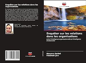 Seller image for Enquter sur les relations dans les organisations for sale by moluna
