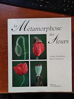 La Metamorphose Des Fleurs