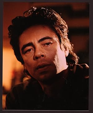 Image du vendeur pour Benicio Del Toro 8x10 color photo mis en vente par DTA Collectibles