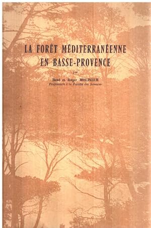 La forêt méditerranéenne en basse-provence