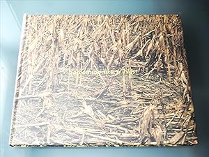 Seller image for Something Like a Nest for sale by PhotoTecture Books