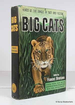 Seller image for Big Cats: Kings of the Jungle in Fact and Fiction for sale by Banjo Booksellers, IOBA