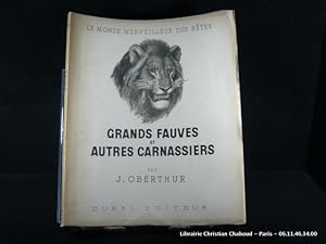 Seller image for Grands fauves et autres carnassiers. for sale by Librairie Christian Chaboud