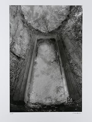 Bild des Verkufers fr Simon Marsden photographie originale : Gothic Window, Castle Bernard, Ireland. zum Verkauf von Librairie Christian Chaboud
