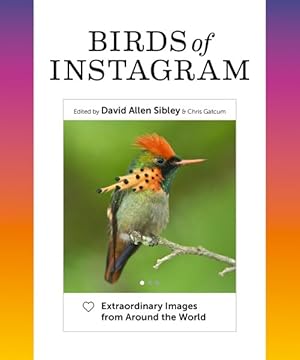 Seller image for Birds of Instagram : Extraordinary Images from Around the World for sale by GreatBookPrices