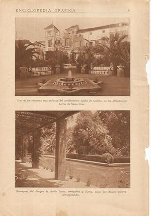 Seller image for LAMINA 25059: Jardin de Murillo y Parque de Maria Luisa en Sevilla for sale by EL BOLETIN