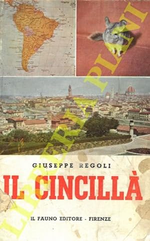 Il cincillà.