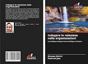 Seller image for Indagare la relazione nelle organizzazioni for sale by moluna