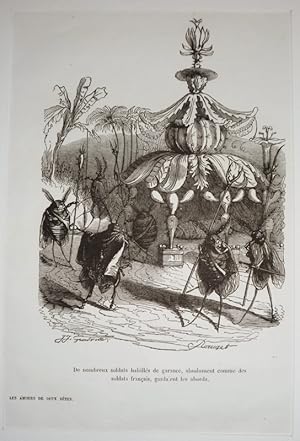 Bild des Verkufers fr Gravure d'aprs J.-J. Grandville tire de "Scnes de la vie prive et publique des animaux" (1853) : Les amours de deux btes zum Verkauf von Abraxas-libris