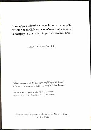 Sondaggi, restauri e scoperte nella necropoli preistorica di Golasecca al Monsorino durante la ca...