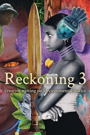 Seller image for Reckoning 4 by Blair, Anna Kate [Paperback ] for sale by booksXpress