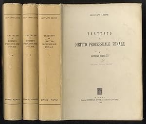 Trattato di diritto processuale penale. Dottrine generali - Svolgimento del processo penale, Il p...