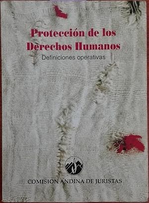 Protección de los Derechos Humanos : definiciones operativas / Derechos civiles y políticos