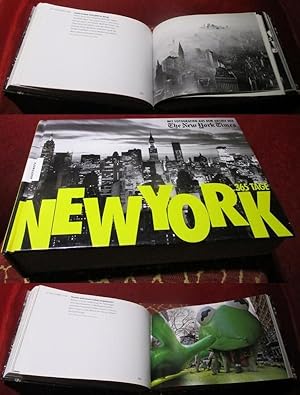 New York - 365 Tage. Mit Fotografien aus dem Archiv der The New York Times.