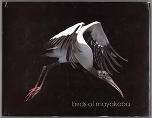 Birds of Mayakoba