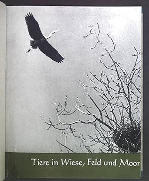 Seller image for Tiere in Wiese, Feld und Moor. Meyers Bildbndchen Neue Folge Band 7. for sale by books4less (Versandantiquariat Petra Gros GmbH & Co. KG)