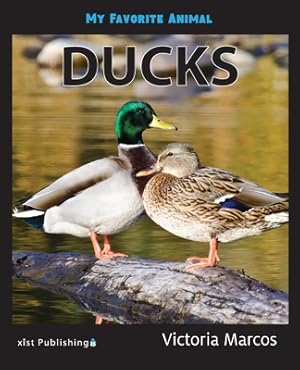 Imagen del vendedor de My Favorite Animal: Ducks (Paperback or Softback) a la venta por BargainBookStores