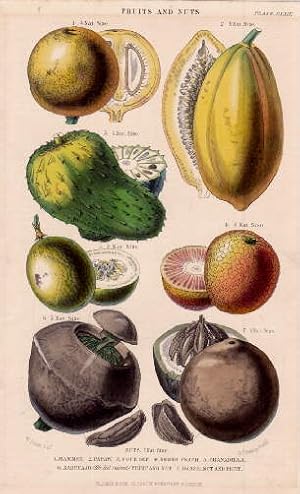 Seller image for 7 Darstellungen auf einem Blatt : 1. Mammee 2. Papaw 3. Sour Sop 4. Negro Peach 5. Granadilla 6. Zabucajo Fruit and Nut 7. Brazil Nut and Fruit. Kolorierter Stahlstich. for sale by Antiquariat Heinz Tessin