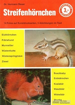 Streifenhörnchen und andere Kleinsäuger