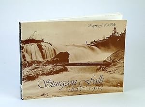 Seller image for Sturgeon Falls, 1895-1995 (Ontario Local History) for sale by RareNonFiction, IOBA