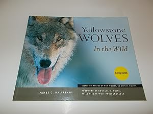 Image du vendeur pour Yellowstone Wolves in the Wild mis en vente par Paradise Found Books