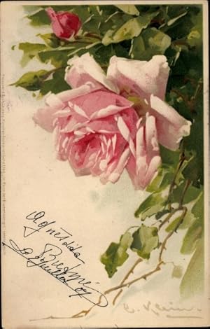 Bild des Verkufers fr Knstler Litho Klein, Catharina, Rosa Rose, Meissner Buch zum Verkauf von akpool GmbH