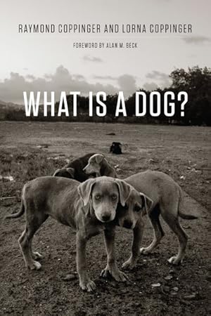 Bild des Verkufers fr What Is a Dog? zum Verkauf von GreatBookPrices