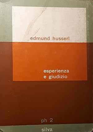 Esperienza e giudizio