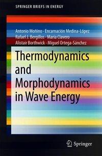 Bild des Verkufers fr Thermodynamics and Morphodynamics in Wave Energy zum Verkauf von moluna