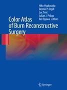 Immagine del venditore per Color Atlas of Burn Reconstructive Surgery venduto da moluna