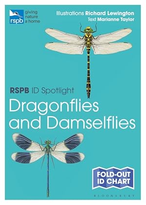 RSPB ID Spotlight - Dragonflies and Damselflies