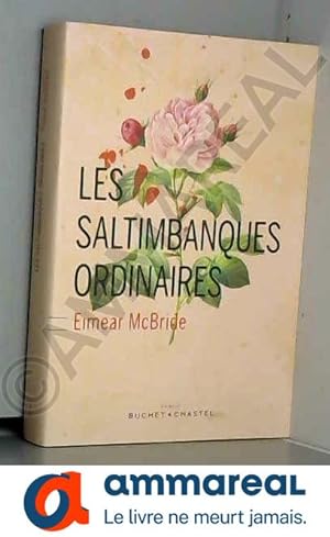 Seller image for Les saltimbanques ordinaires for sale by Ammareal