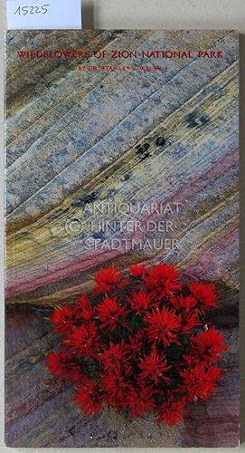 Seller image for Wildflowers of Zion National Park. for sale by Antiquariat hinter der Stadtmauer