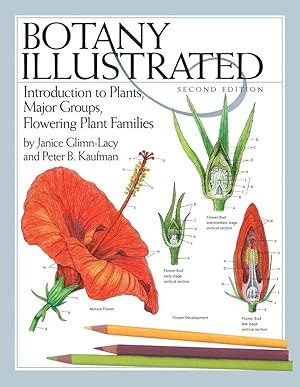 Bild des Verkufers fr Botany Illustrated: Introduction to Plants, Major Groups, Flowering Plant Families zum Verkauf von moluna