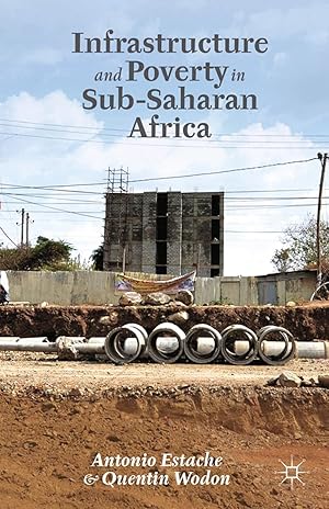 Immagine del venditore per Infrastructure and Poverty in Sub-Saharan Africa venduto da moluna