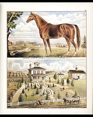 Bullville/Pine Bush - Racehorse Imperial/Rainey Residence, Orange Co., New York 1875 Color Giclee...