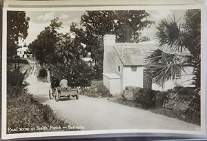 Seller image for Real Photo Post Card: "Road scene in Smith' Parish -- Bermuda.; 12" for sale by Barry Cassidy Rare Books