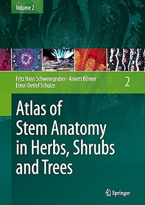 Image du vendeur pour Atlas of Stem Anatomy in Herbs, Shrubs and Trees mis en vente par moluna