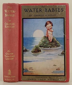 Seller image for The Water Babies a fairy tale for a land-baby for sale by Leakey's Bookshop Ltd.