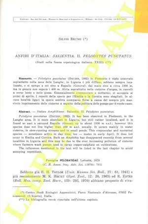 Anfibi d'Italia: Salientia. II. Palodytes puncatus.