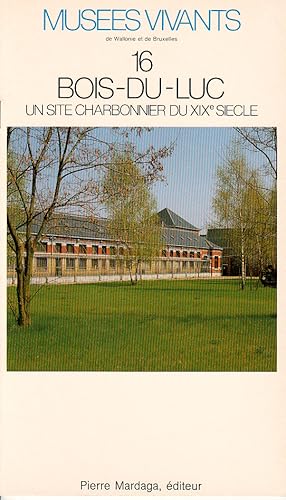 Seller image for Bois-du-Luc, un site charbonnier du XIXe sicle for sale by L'ivre d'Histoires