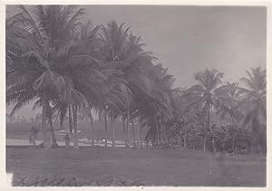 3 Original-Photographien von der Insel Fernando Poo während der spanischen Kolonialherrschaft. Hi...