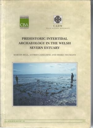 Prehistoric Intertidal Archaeology in the Welsh Severn Estuary [With CD]
