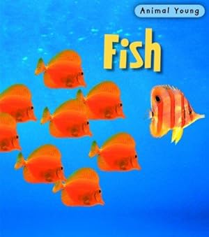 Seller image for Animal Young Fish for sale by WeBuyBooks