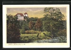 Bild des Verkufers fr Ansichtskarte Bieberstein, Wasserlauf und Wald am Schloss zum Verkauf von Bartko-Reher